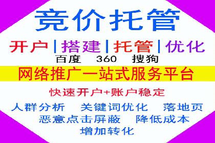 谷歌竞价广告的创意执行与效果评估——某品牌案例